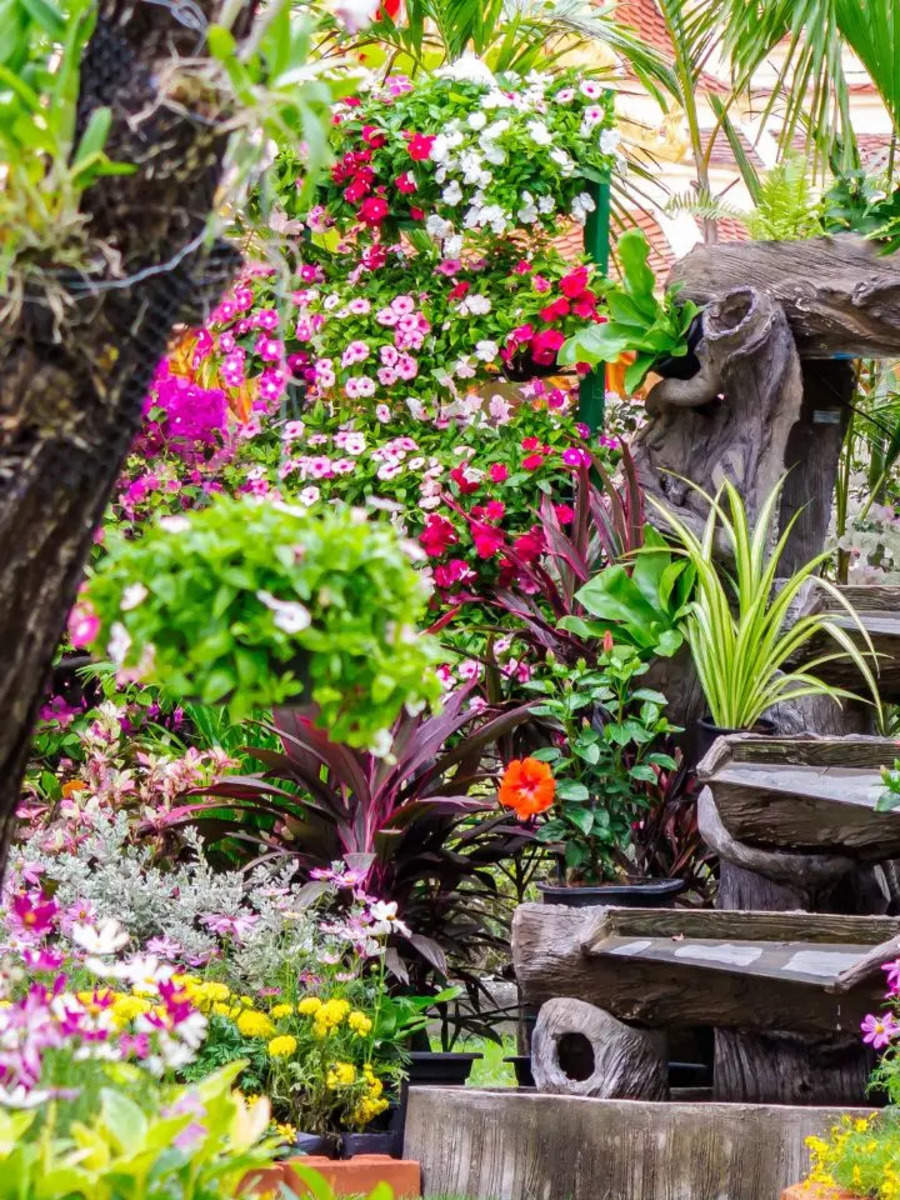 10 best summer flowers for the perfect home garden