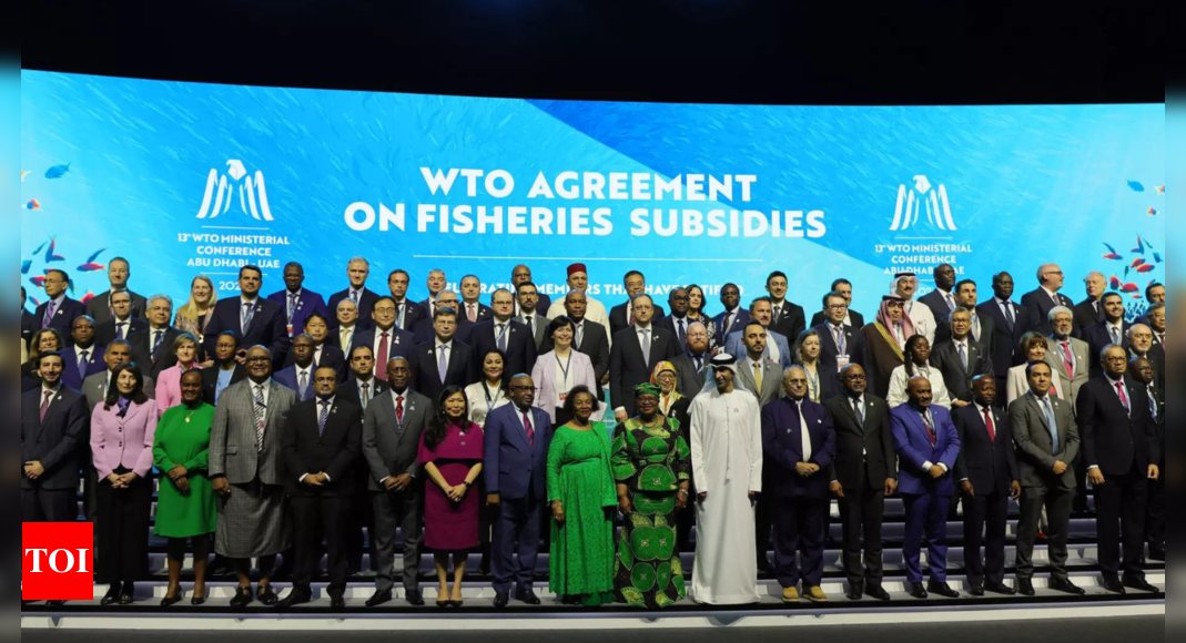 After long drama, WTO meet adopts outcome document | India News - Times of India