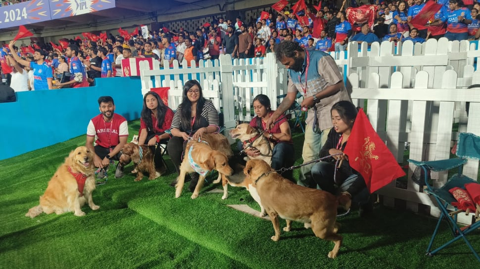 Ahead Of IPL 2024 Clash Vs KKR At Chinnaswamy, RCB Introduce Dog Out; Know What It Is