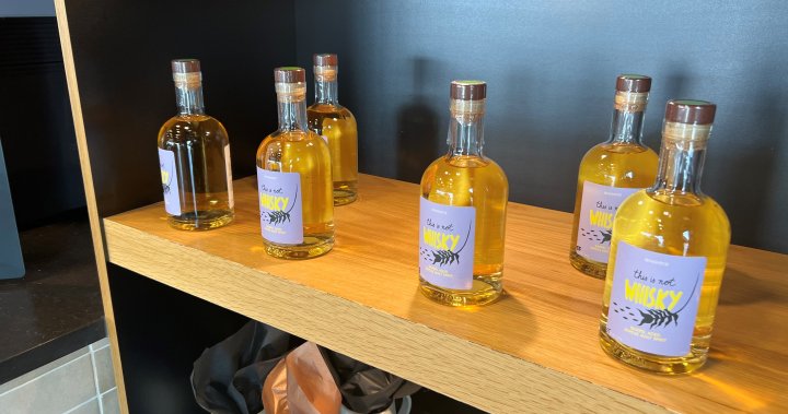 Alberta distillery takes home best new spirit prize at World Whiskies Awards  | Globalnews.ca