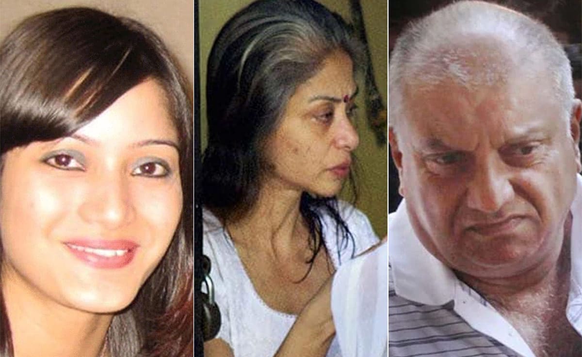 As Indrani Mukerjea Series Streams, A Look At The Chilling Sheena Bora Murder Case