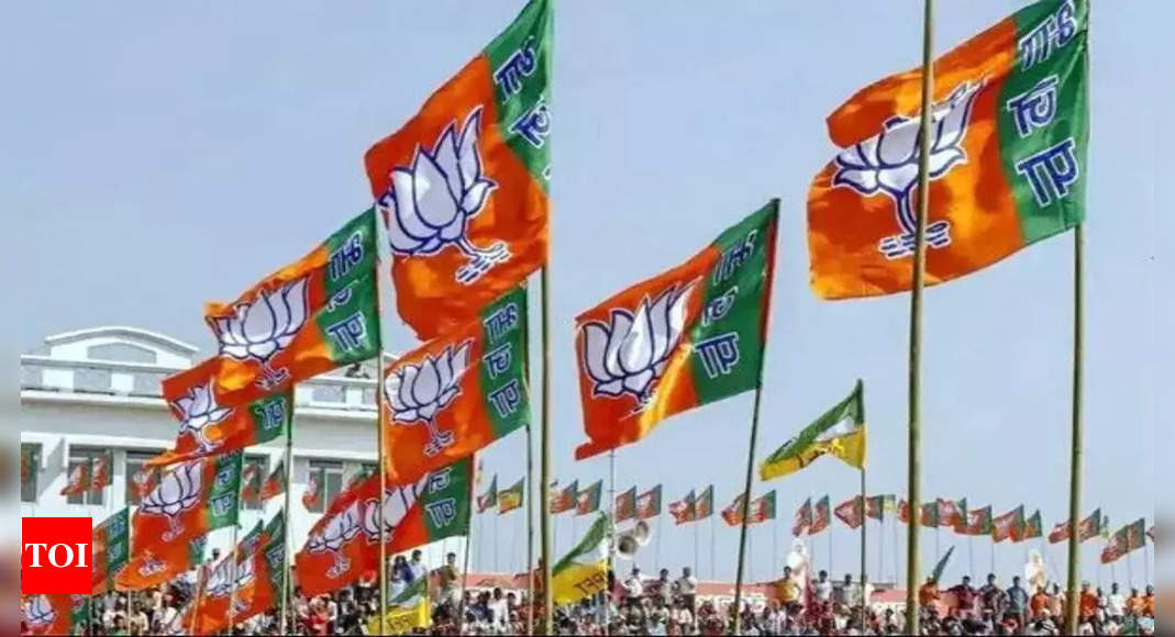 BJP announces manifesto committee for the Lok Sabha election | India News – Times of India