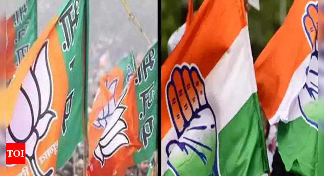 BJP targets Congress LS candidates in Chhattisgarh through cartoons on social media | India News – Times of India