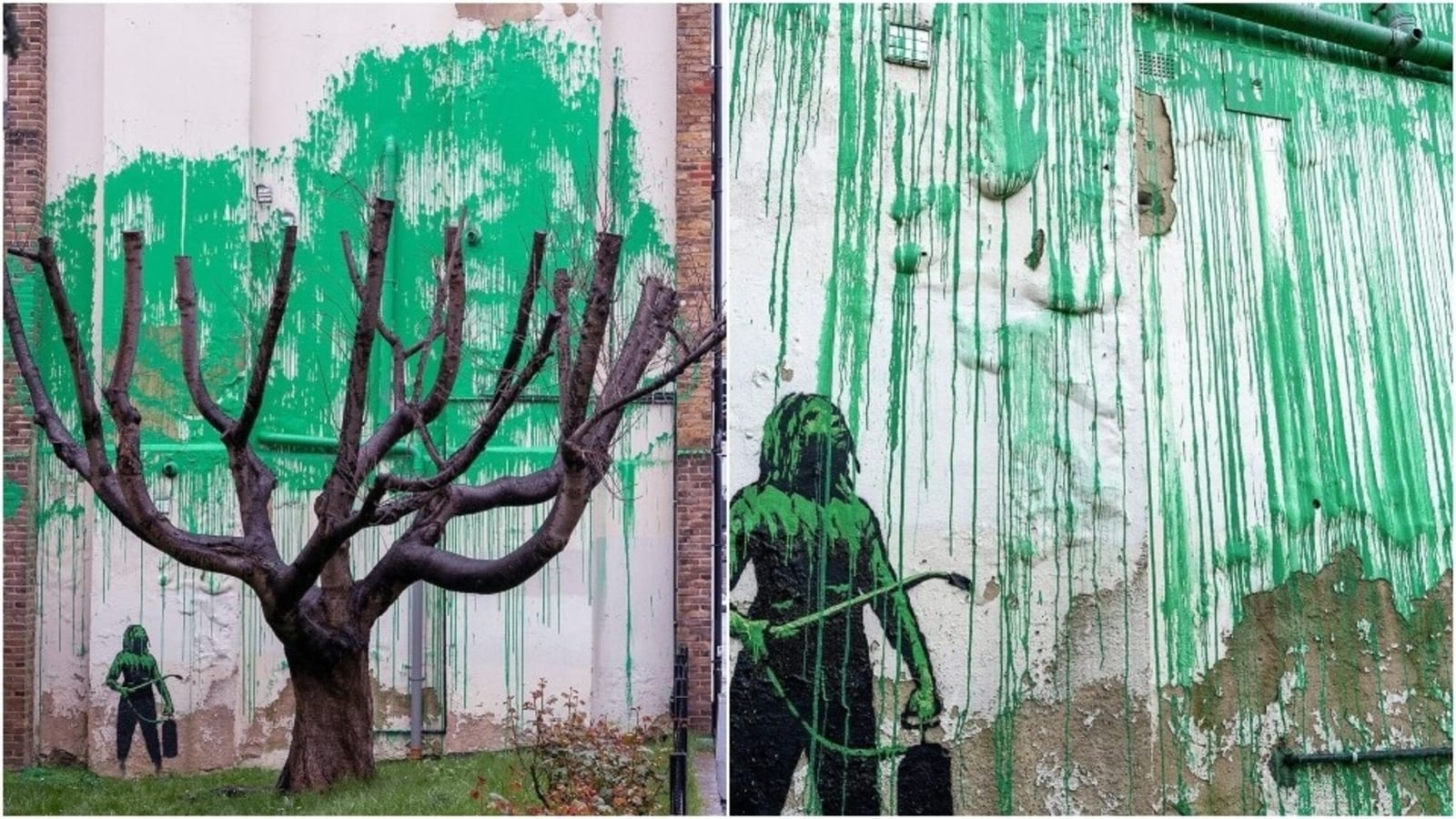 Banksy's new mural showing tree leaves appears in London