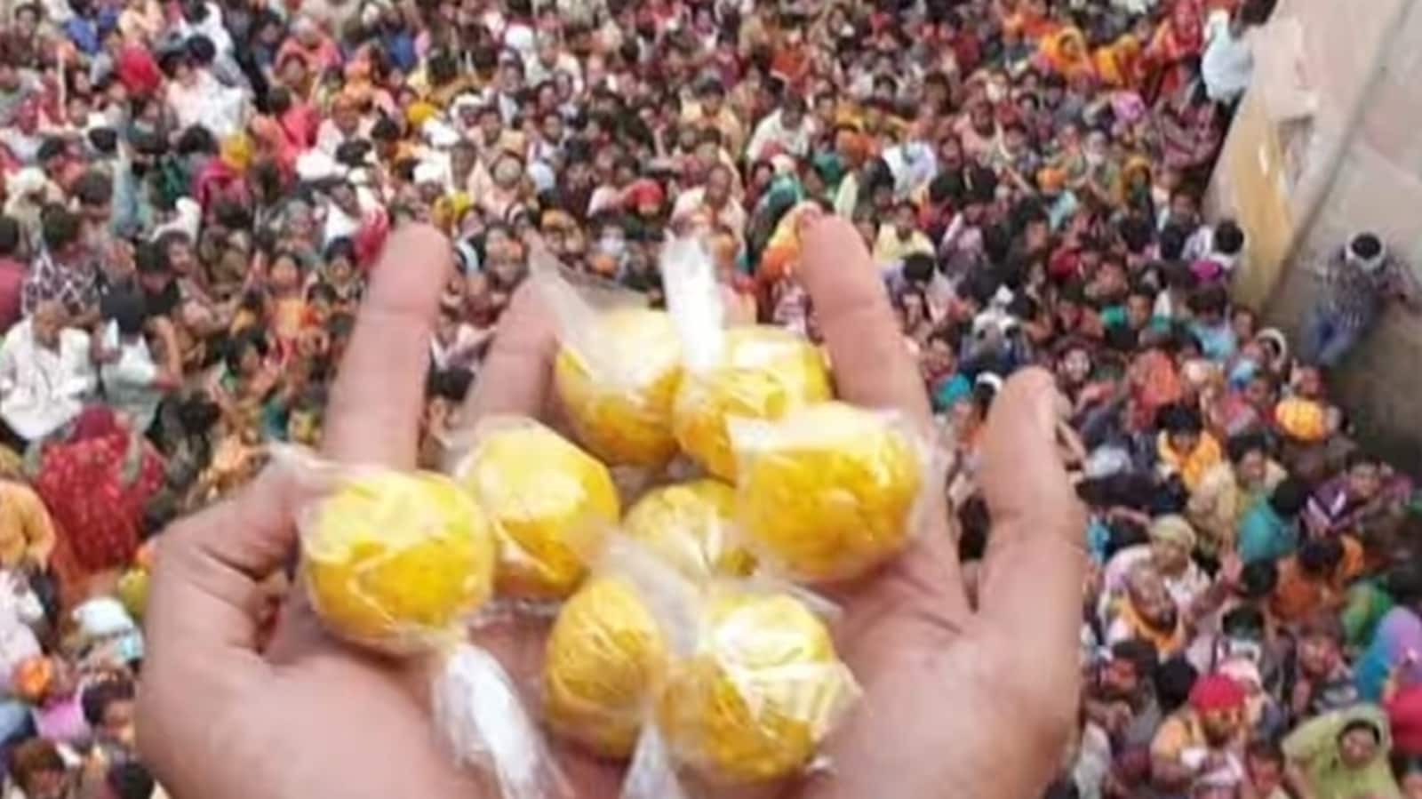 Barsana's Laddu Mar Holi 2024: Date, history and significance of this pre-Holi tradition in Braj