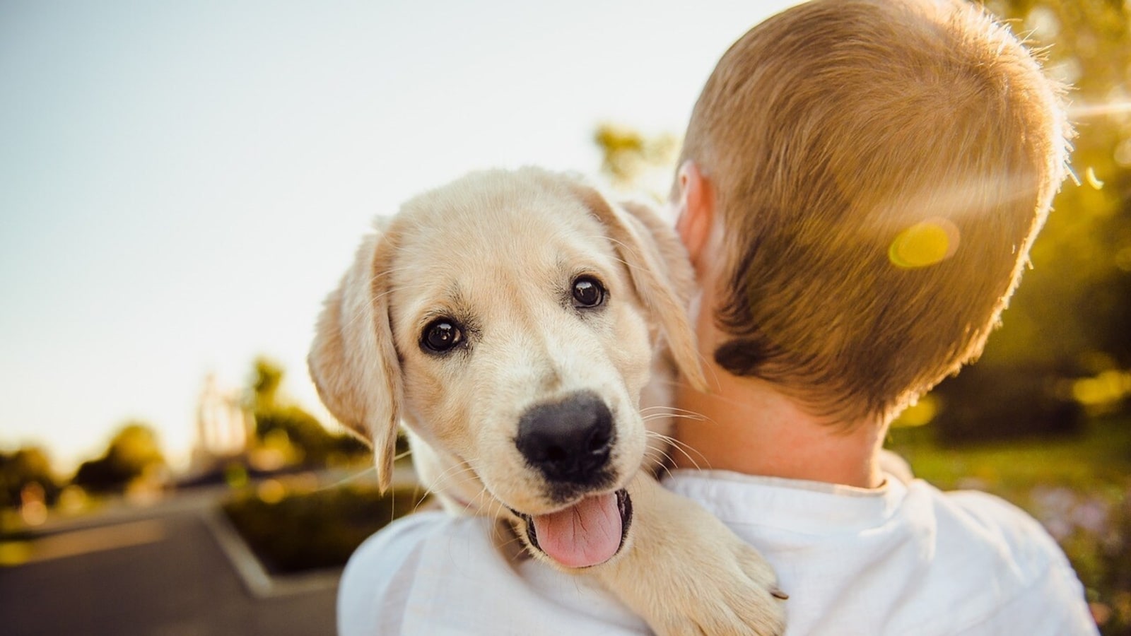 Beginner's guide: 9 essential tips for first-time pet owners
