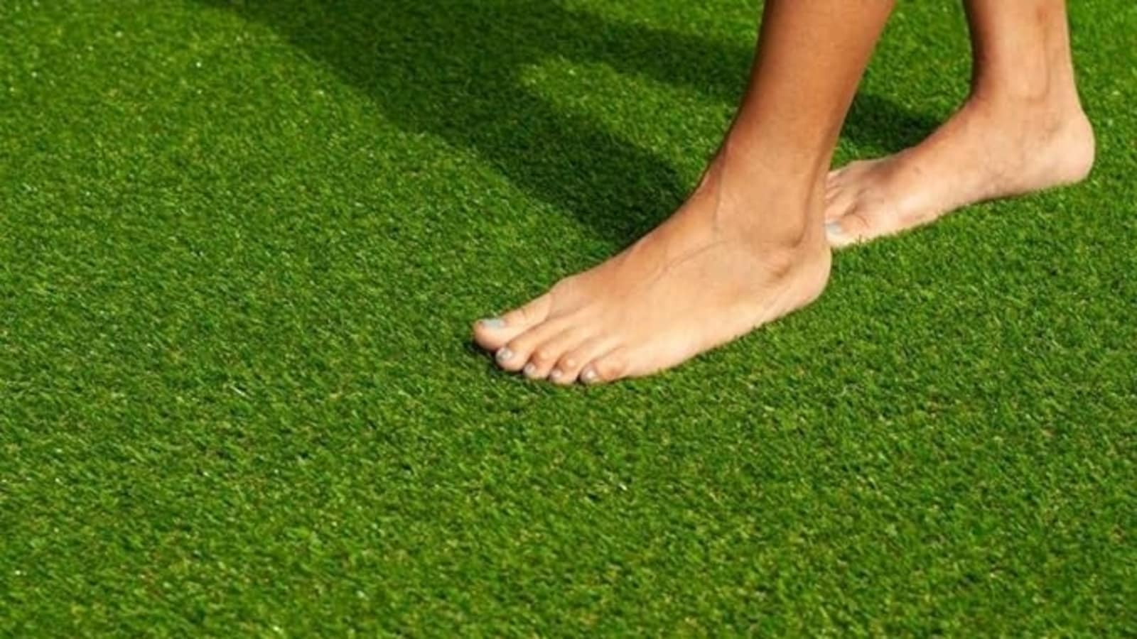 Best artificial grasses: Top 10 picks for effortless landscaping and year-round greenery