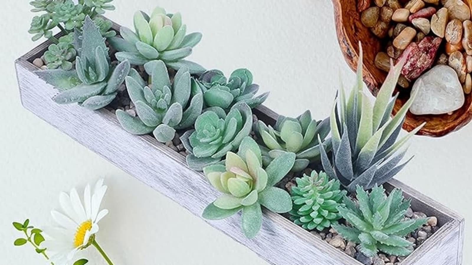 Best artificial plants for home decor: Top 10 picks to bring nature indoors to enhance your interiors effortlessly