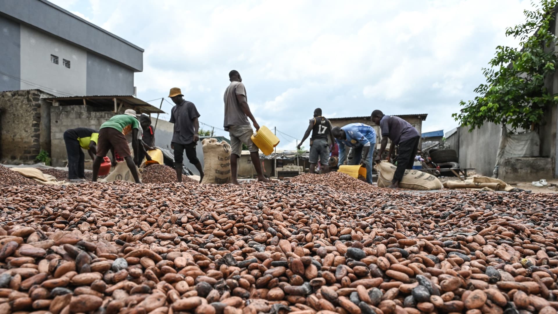 Chocolate is getting more and more expensive — but it’s not yet showing signs of destroying demand