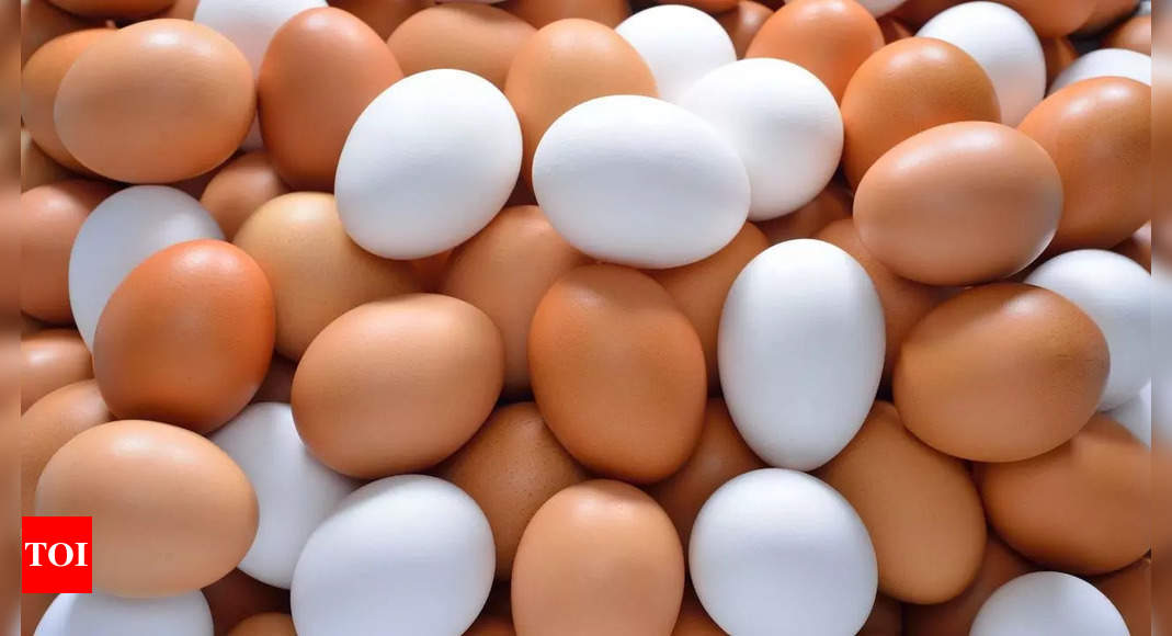 Difference between white and brown eggs - A Complete Guide | - Times of India