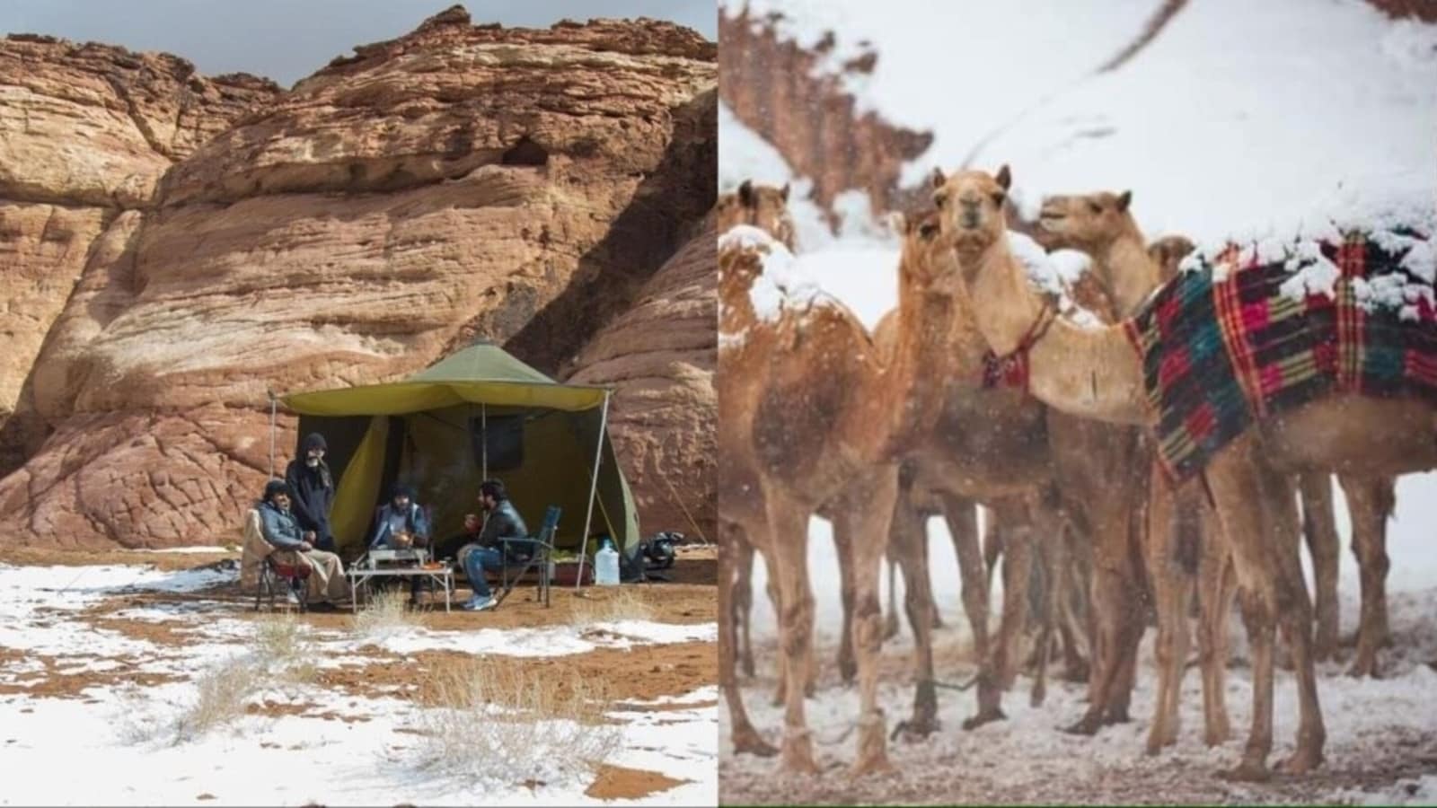 Discovering Middle Eastern allure beyond sand dunes: Top 5 Saudi destinations that need to be in your 2024 travel list