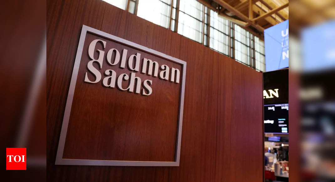 Don’t invest in China, Goldman Sachs wealth management CIO warns - Times of India