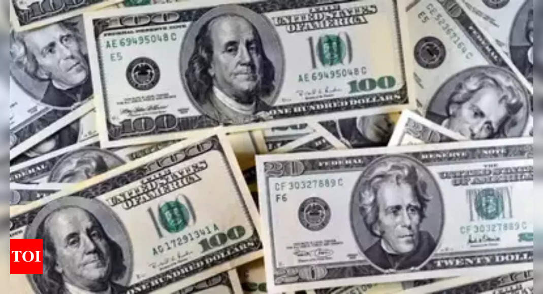 Gandhinagar man held in US for ponzi scam worth $4,00,000 | India News - Times of India