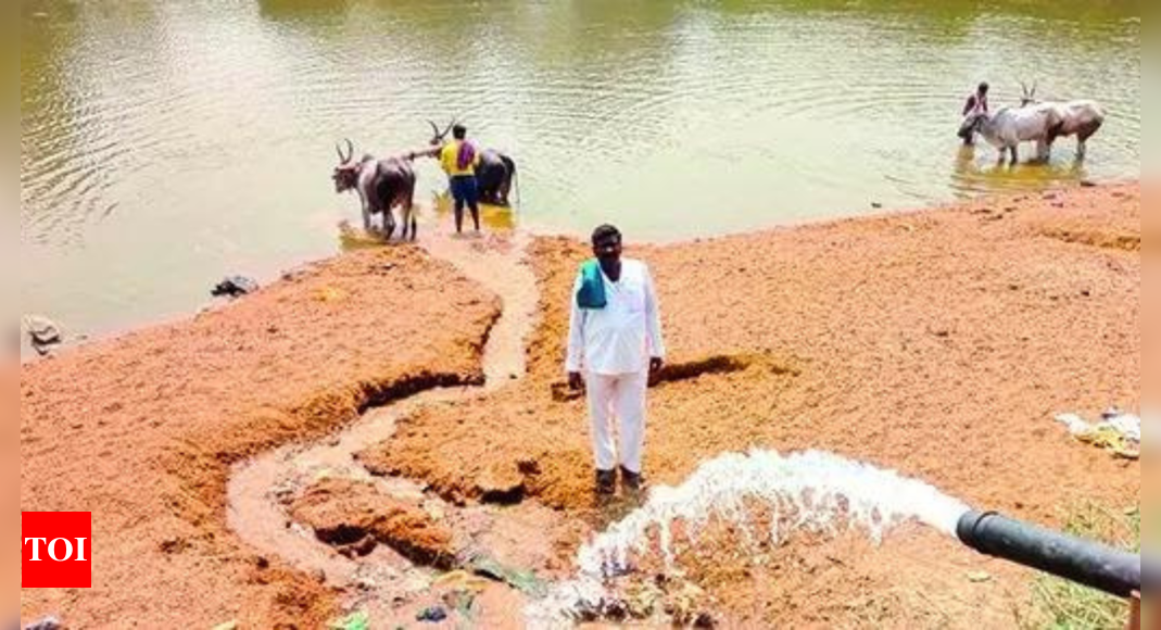 In drought-hit K’taka, farmer pumps water from own well into dry river | India News - Times of India