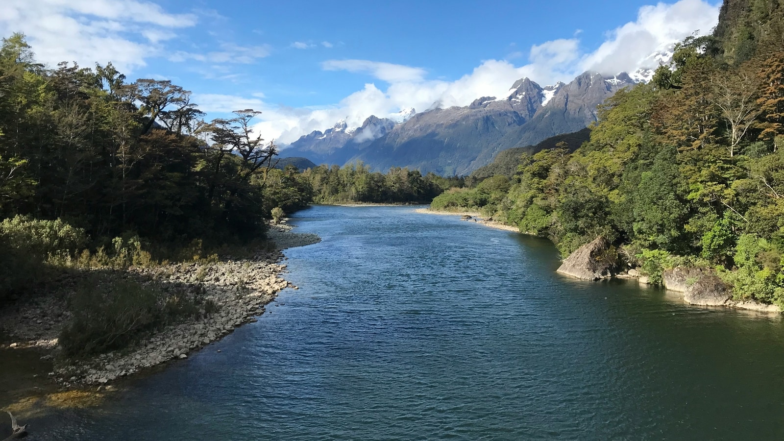 International Day of Action for Rivers 2024: Date, theme, history, significance and all you need to know