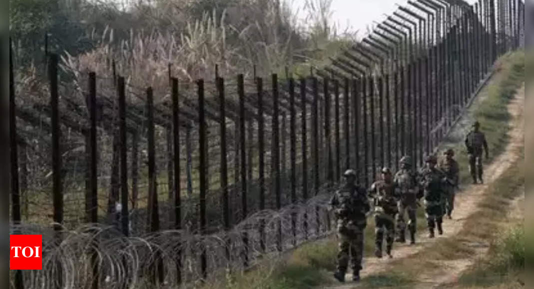 J&K woman, who entered PoK with infant daughter, repatriated – Times of India