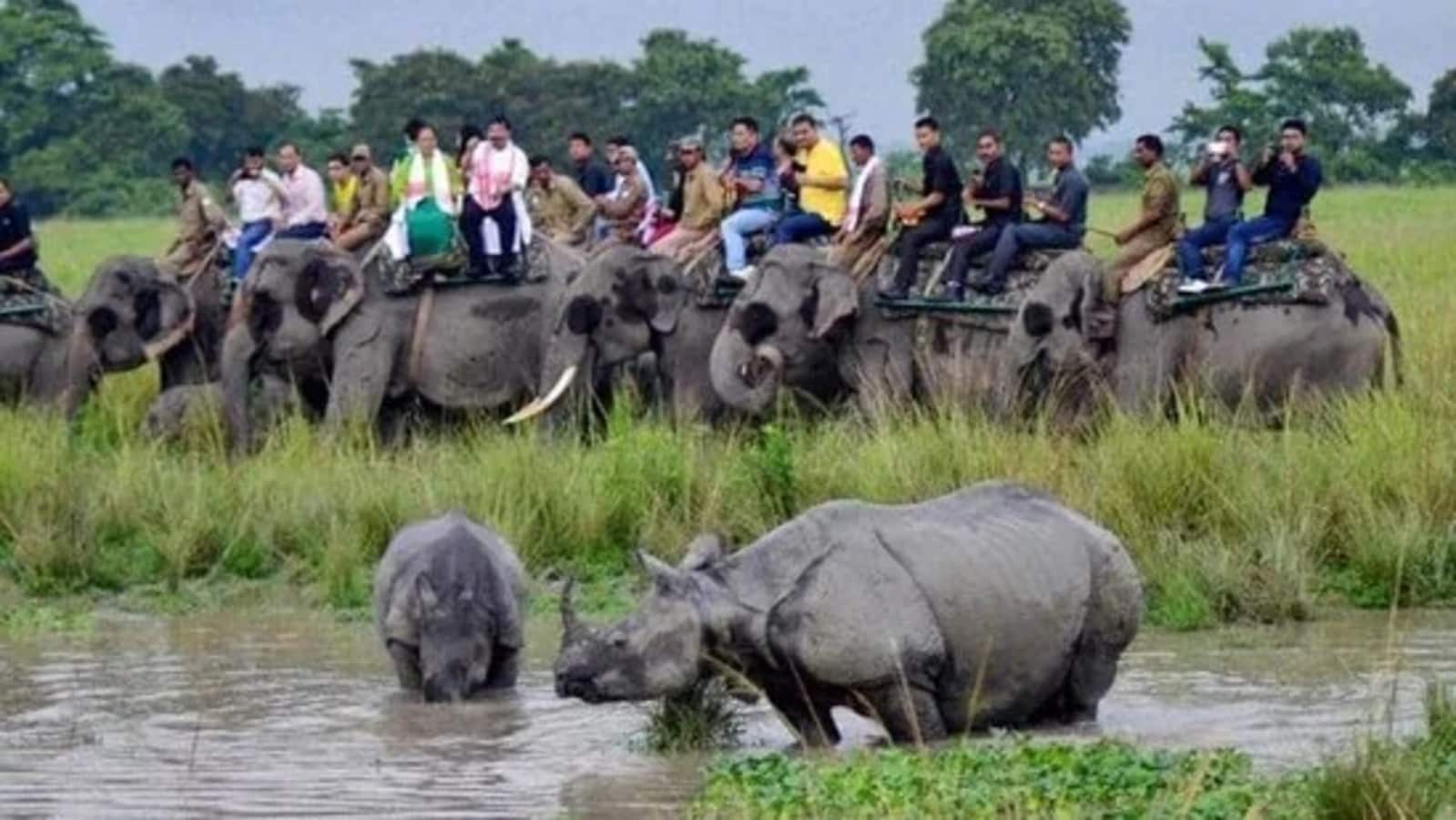 Kaziranga suspends jeep safari, elephant rides from March 7-9 during PM Modi's visit