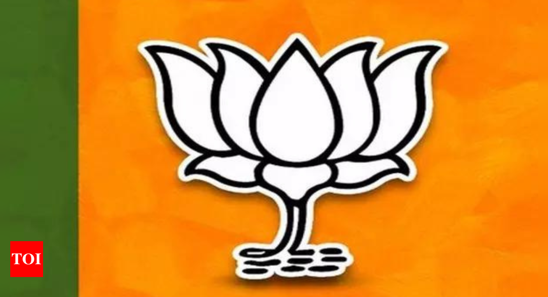 Lok Sabha elections: BJP releases fourth list for Tamil Nadu and Puducherry | India News – Times of India