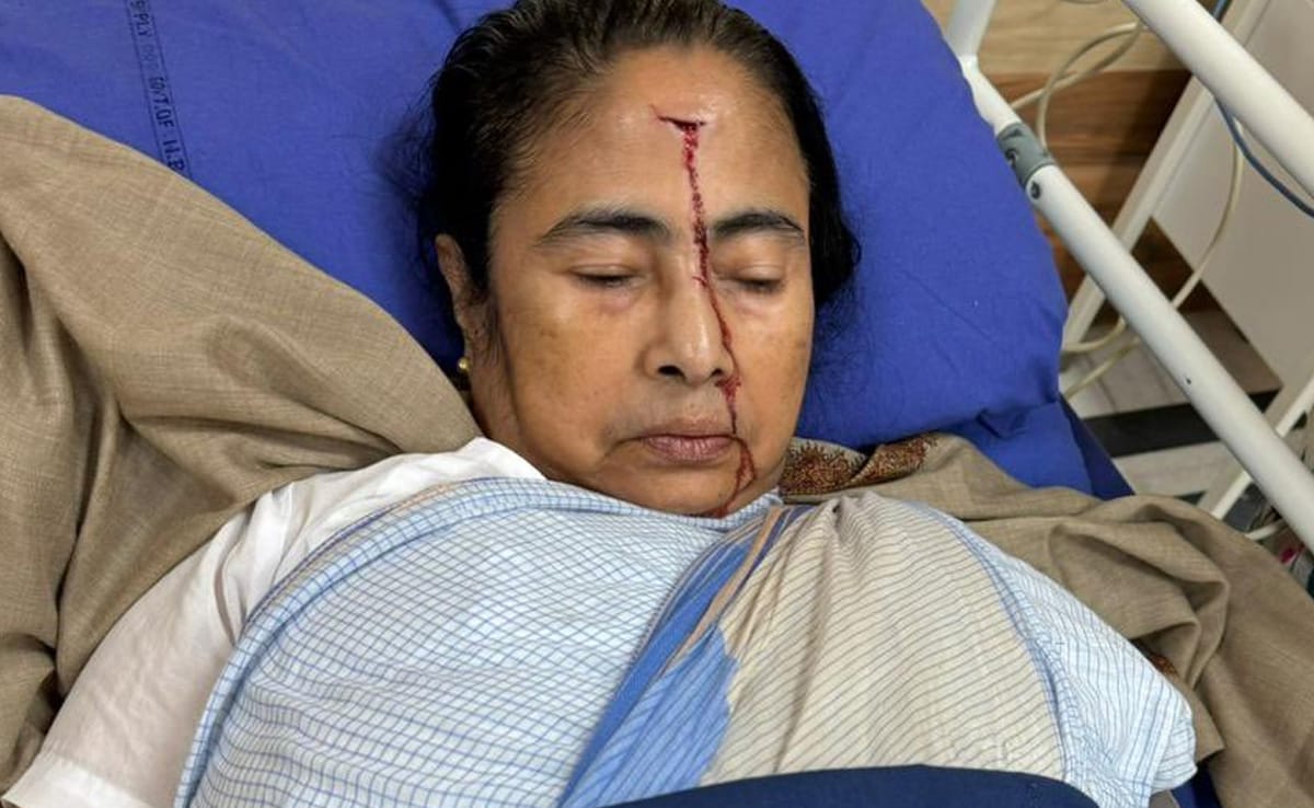 Mamata Banerjee Injured After Fall At Home, Receives Stitches On Forehead