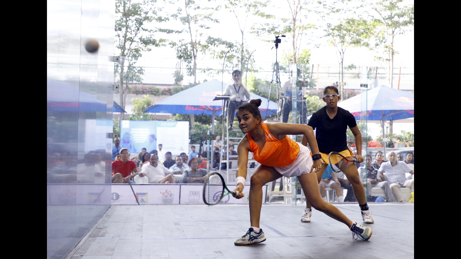 Quick serve: Where did the game of squash come from?