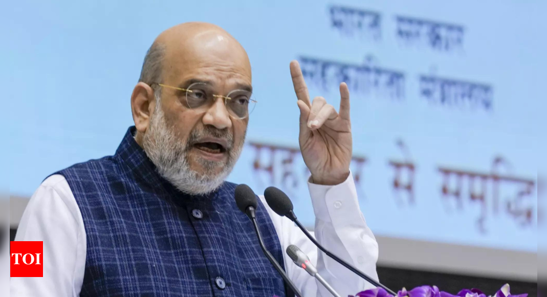 Shah: Centre firm on providing constitutional safeguards to Ladakh | India News - Times of India