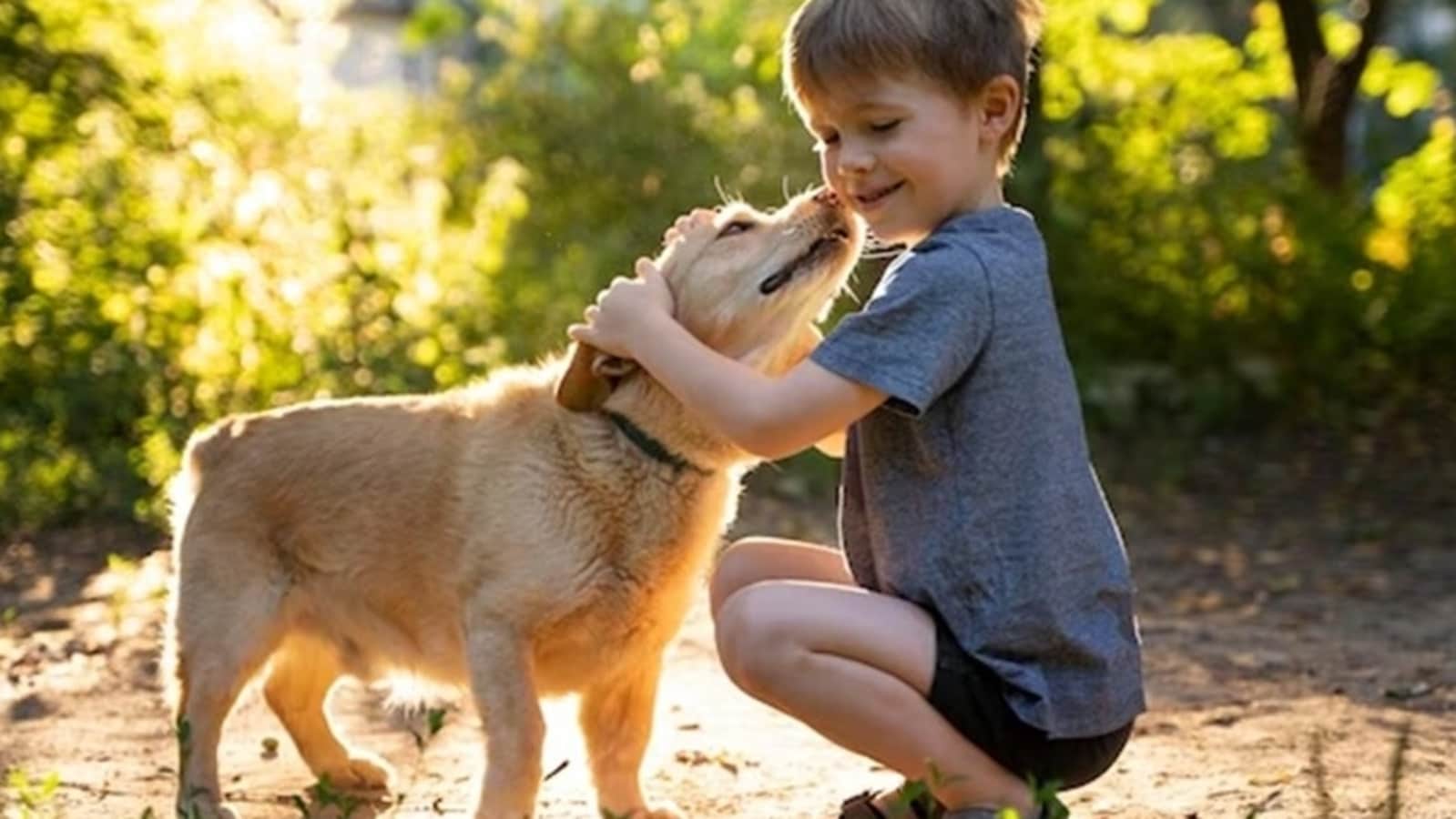 Your dog will have an anti-aging drug before you do