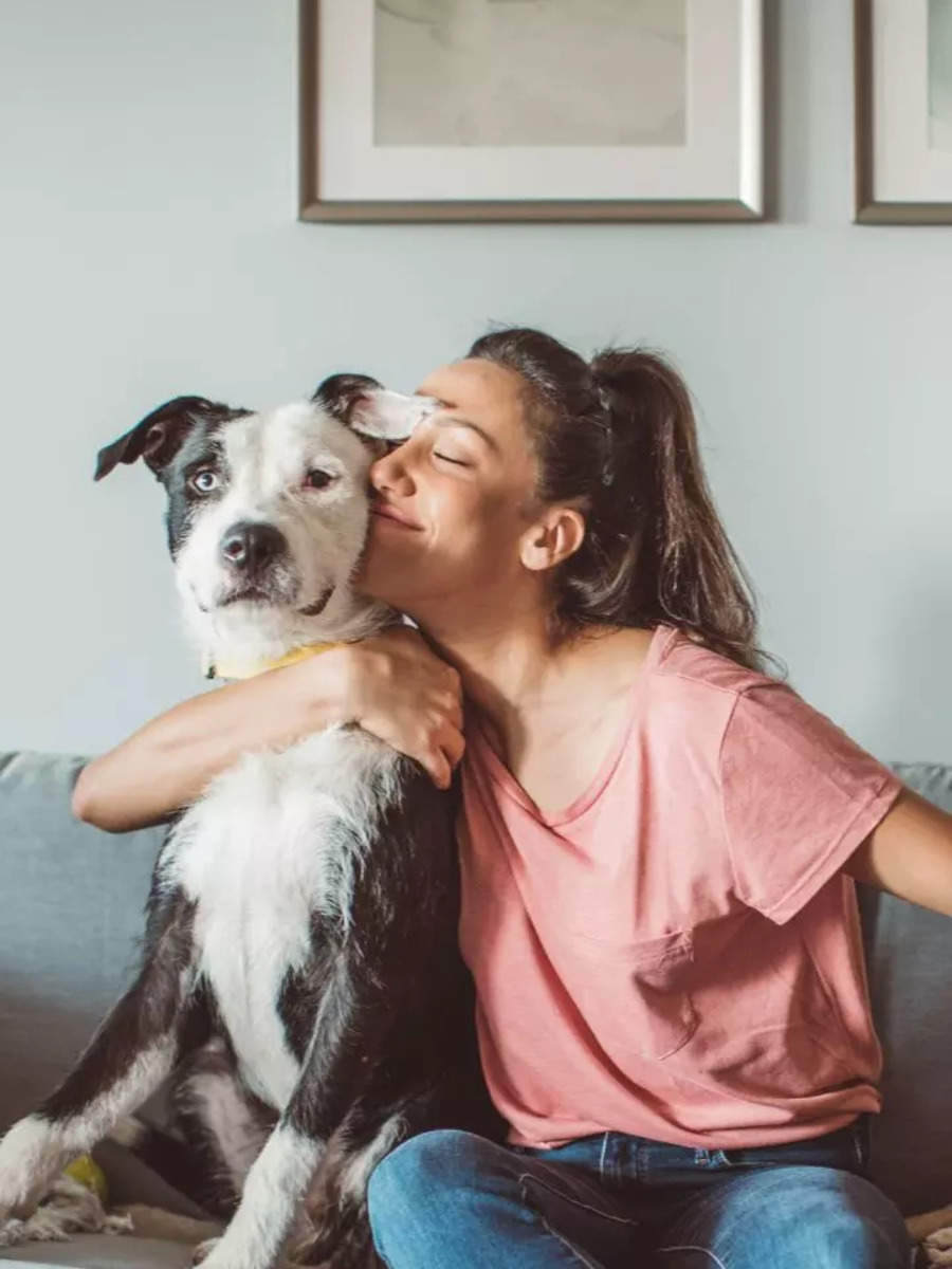 ​10 signs your pet dog loves you