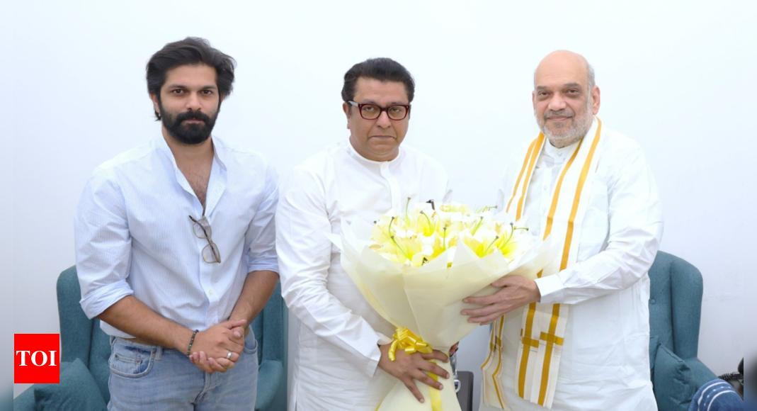 ‘BJP may give Raj Thackeray seats for only state, civic polls’ – Times of India