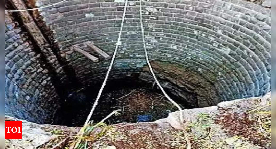 5 of family feared drowned while trying to save cat from well | India News – Times of India