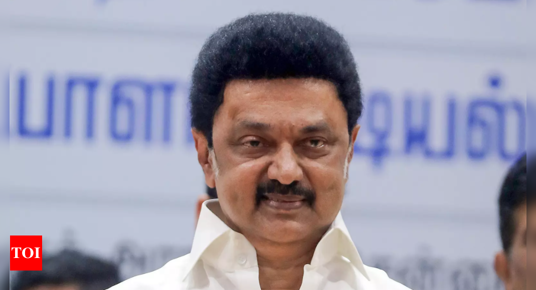 After ED, I-T, CBI, NDA using RTI to spread lies: Stalin | India News – Times of India