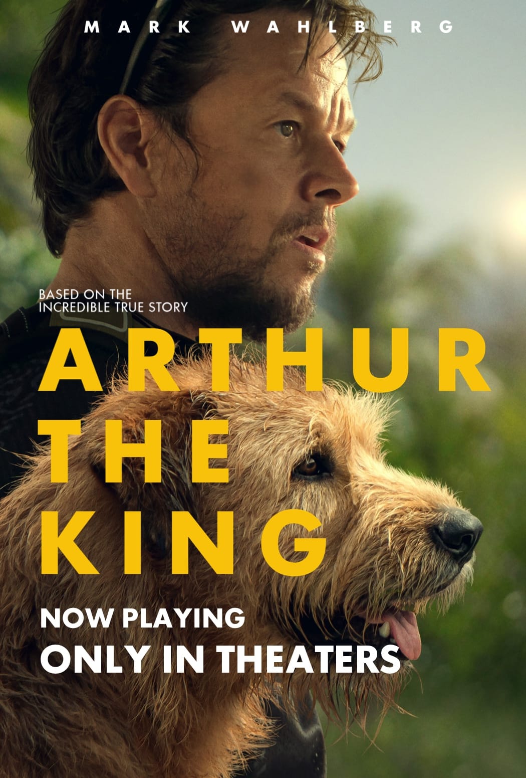 Arthur The King (English) Movie: Review | Release Date (2024) | Songs | Music | Images | Official Trailers | Videos | Photos | News – Bollywood Hungama