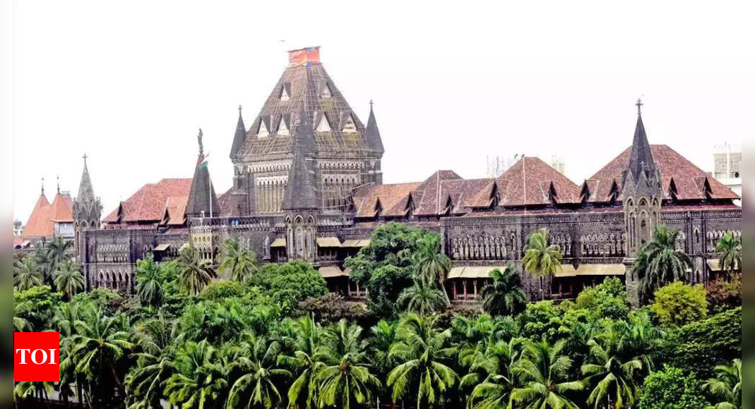 Bombay HC grants bail to woman in 2023 MPID case, says further custody unwarranted | India News – Times of India