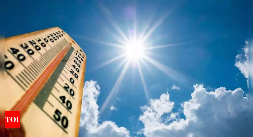 IMD says above normal maximum temp expected in the summer | India News – Times of India