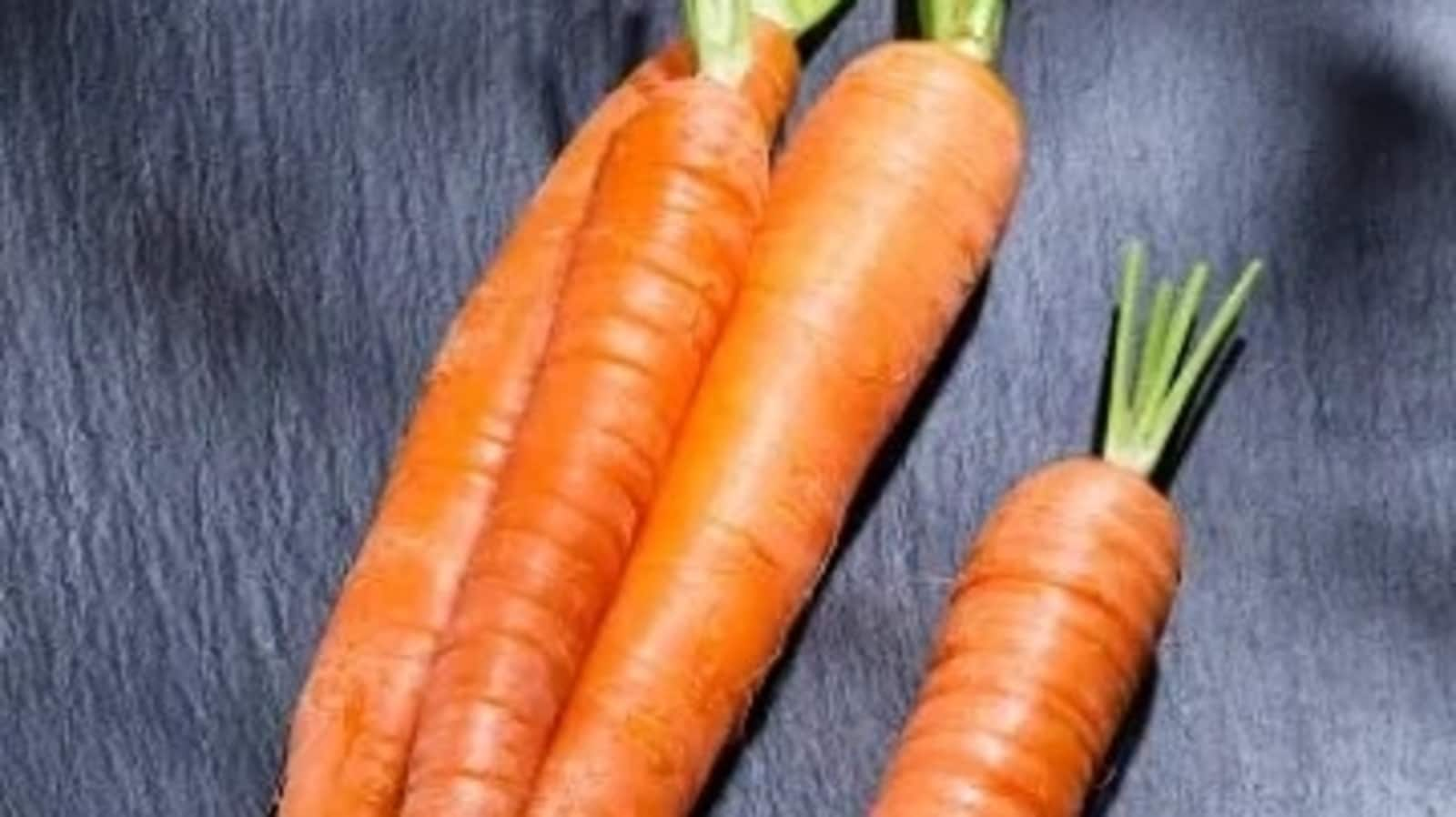 International Carrot Day 2024: Date, history, significance and all that you need to know