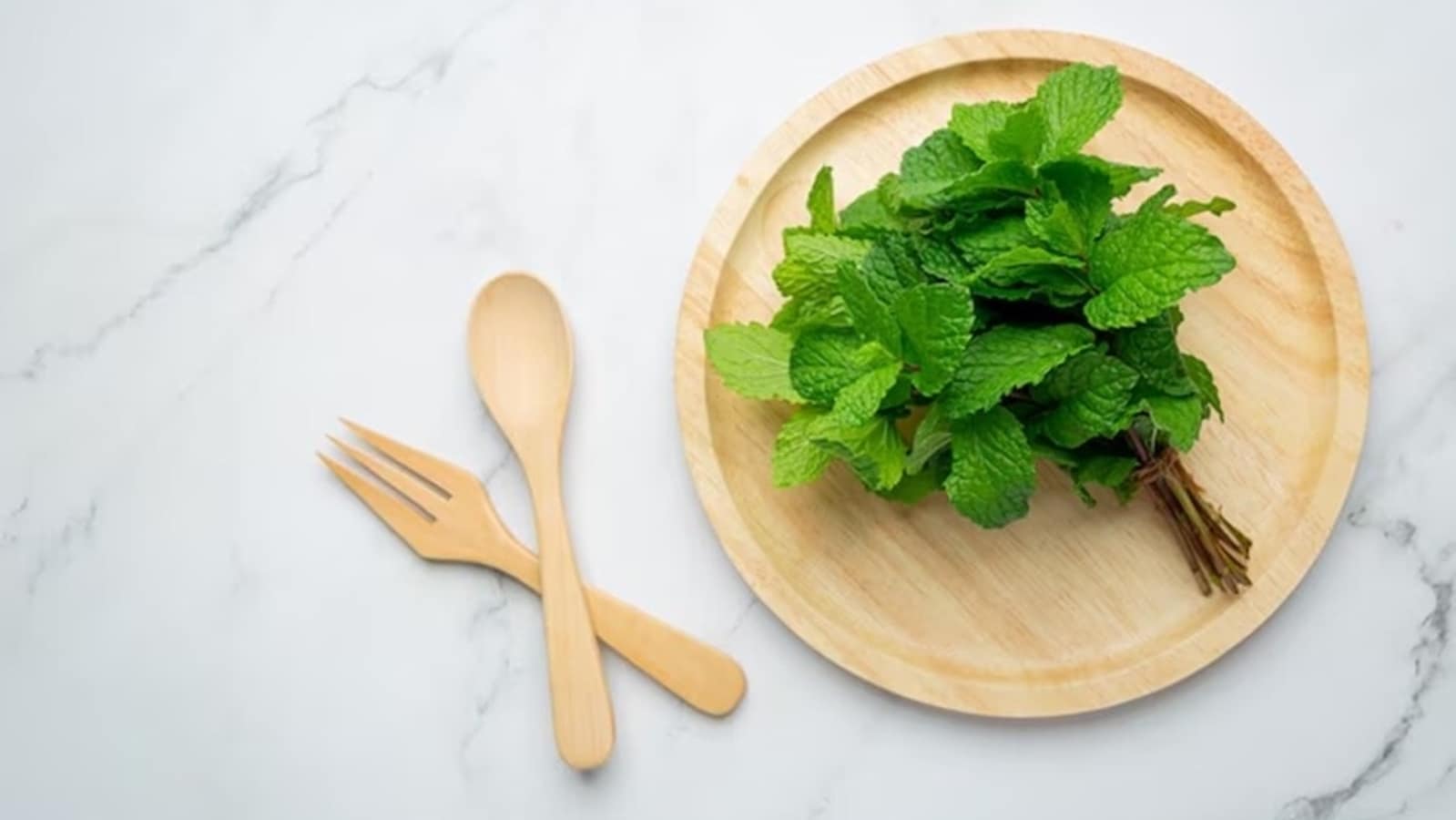 Mint to coriander; 7 summer-friendly herbs to keep your body cool