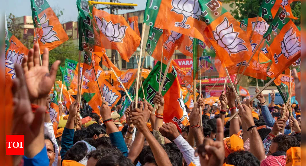 ‘Mossad-like targeted killings’ in Pakistan: How it may help BJP in Lok Sabha polls | India News – Times of India