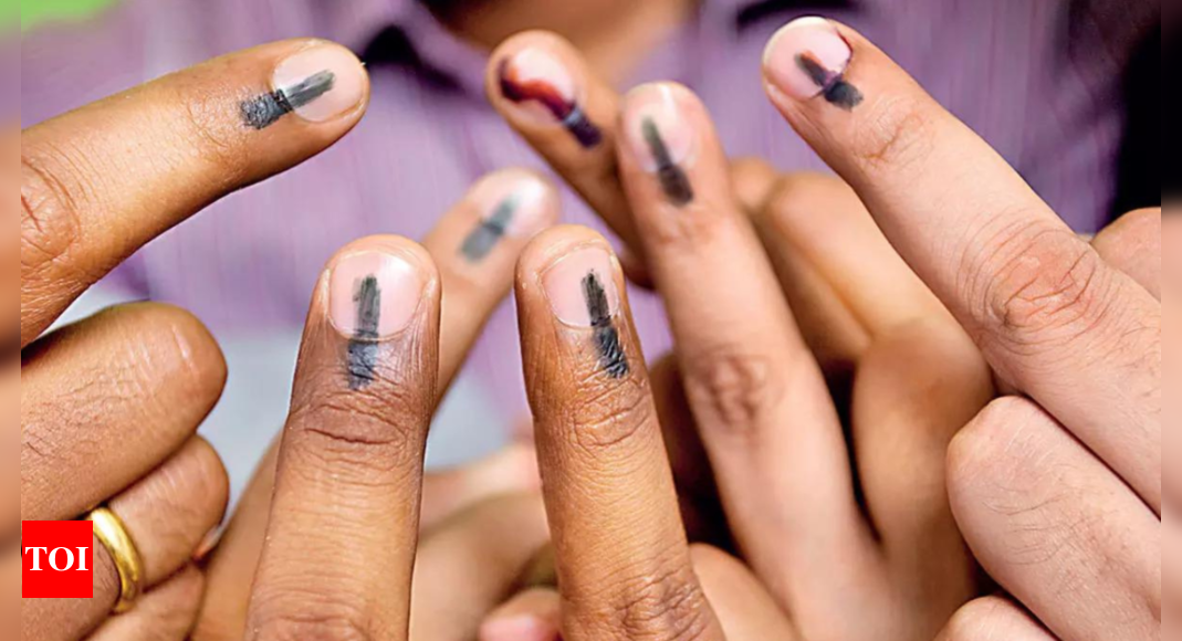 Polls about future, but young not interested? | India News – Times of India