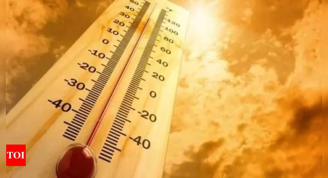 Soaring temperature: Jaundice cases cause concern in Ernakulam | India News – Times of India