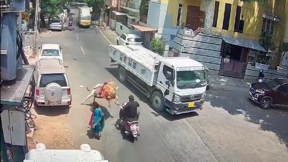 Video: Bull Pounces On Scooter In Bengaluru, Trucker’s Quick Thinking Saves Rider