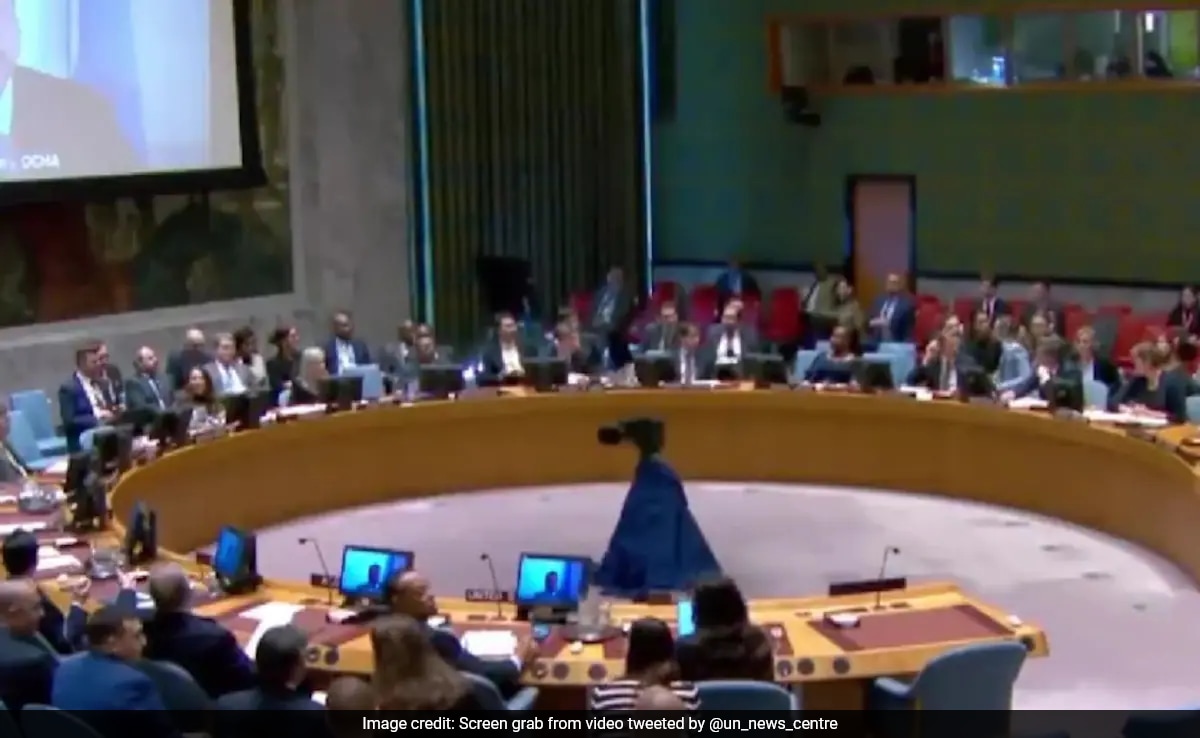 “You’re Making Ground Shake”: Earthquake Interrupts UN Briefing On Gaza